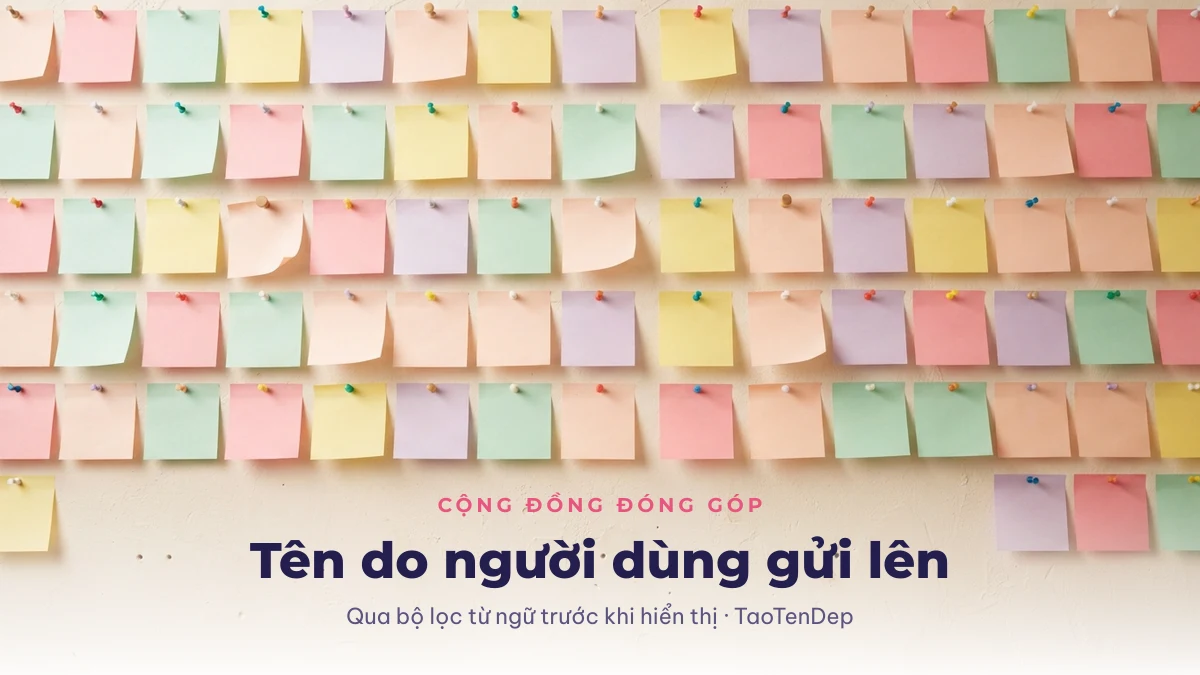 Kho tên do người dùng đóng góp trên TaoTenDep, qua bộ lọc trước khi hiển thị